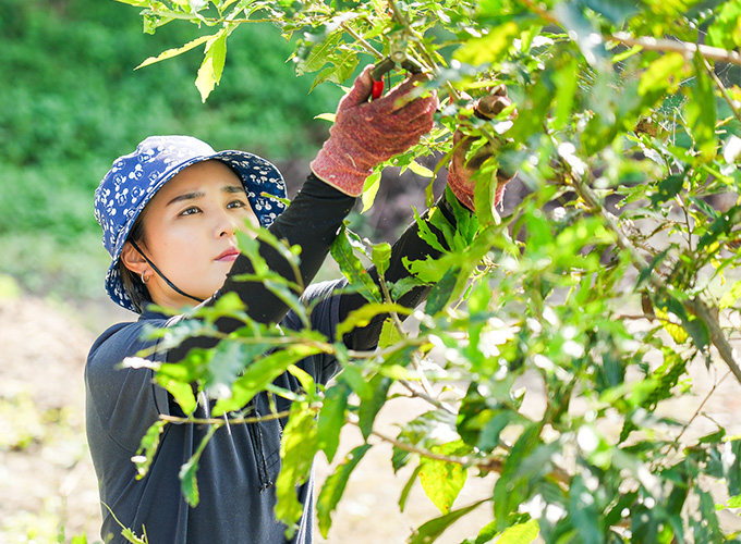 管理しやすく住みやすいがモットーです